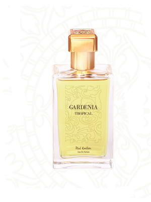 Gardenia Tropical .. 100ml (   )