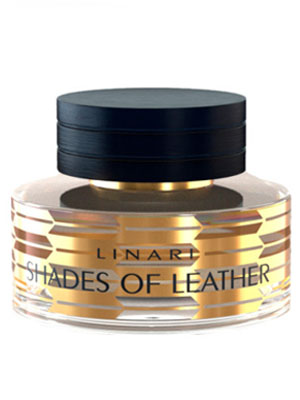 Shades of Leather .. 100 (   )
