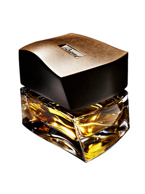 Brioni  .. 75ml (   )