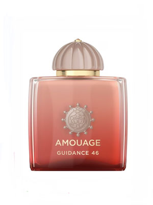 Guidance 46 ���� 100�� (������� � ����� ����)