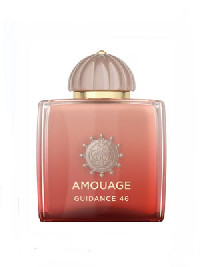 Guidance 46 ���� 100��