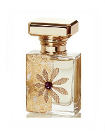 Desserts Collection Chocolate Fondant